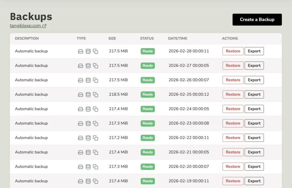 TangibleXP's automatic daily backups